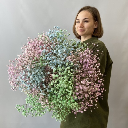 Гипсофила Цветная с доставкой в Обнинске и Малоярославце – Rosalia Flowers