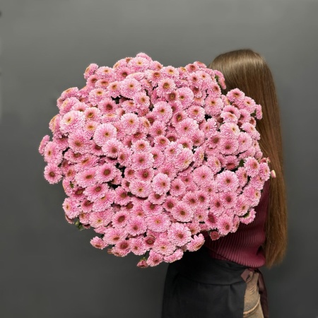 хризантема Сантини Дория  пинк с доставкой в Обнинске и Малоярославце – Rosalia Flowers