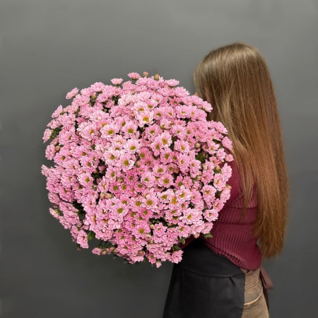 хризантема Сантини Росси Пинк с доставкой в Обнинске и Малоярославце – Rosalia Flowers