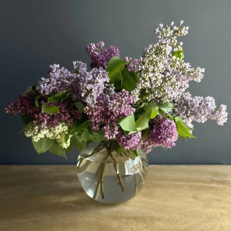 Сирень с доставкой в Обнинске и Малоярославце – Rosalia Flowers