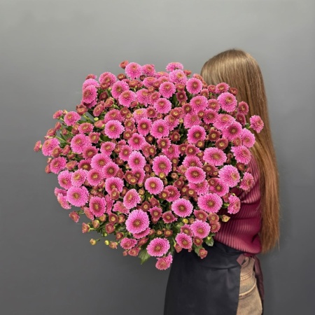 хризантема Сантини Дория с доставкой в Обнинске и Малоярославце – Rosalia Flowers