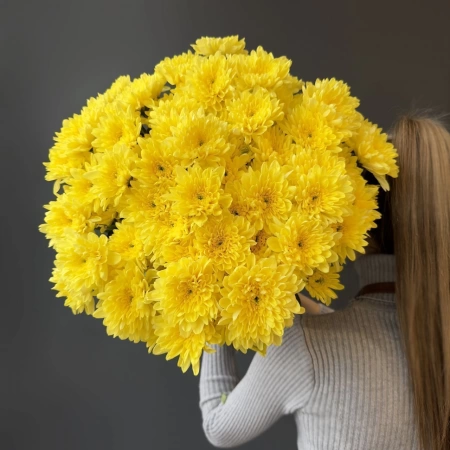Хризантема кустовая Балтика с доставкой в Обнинске и Малоярославце – Rosalia Flowers