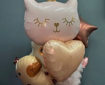 Воздушные шары