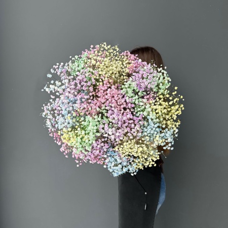 Гипсофила Цветная с доставкой в Обнинске и Малоярославце – Rosalia Flowers