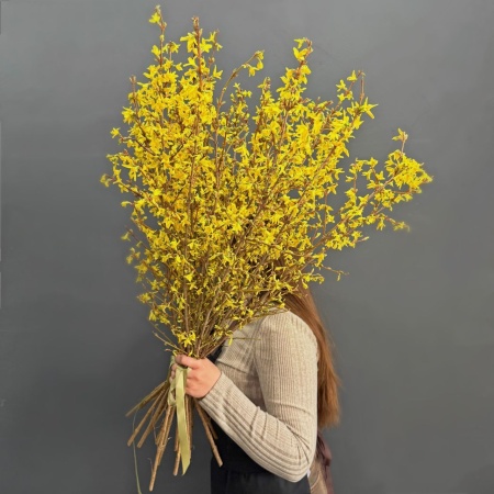 Форзиция с доставкой в Обнинске и Малоярославце – Rosalia Flowers