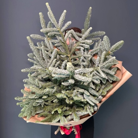 Нобилис с доставкой в Обнинске и Малоярославце – Rosalia Flowers