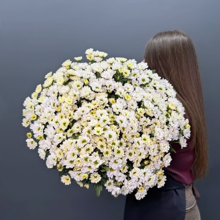 хризантема Сантини Росси Вайт с доставкой в Обнинске и Малоярославце – Rosalia Flowers