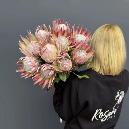 Протея Кинг с доставкой в Обнинске и Малоярославце – Rosalia Flowers