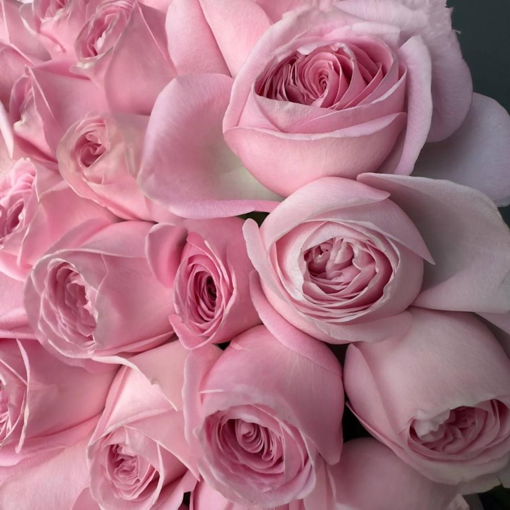 Роза Pink Kenya 50см с доставкой в Обнинске и Малоярославце – Rosalia Flowers Роза Pink Kenya 50см с доставкой в Обнинске и Малоярославце – Rosalia Flowers