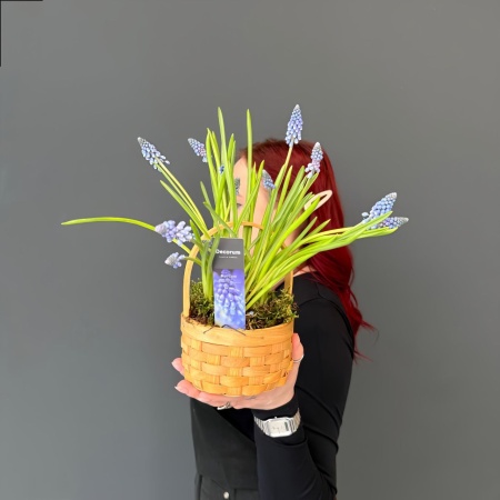 Композиция №198 с доставкой в Обнинске и Малоярославце – Rosalia Flowers