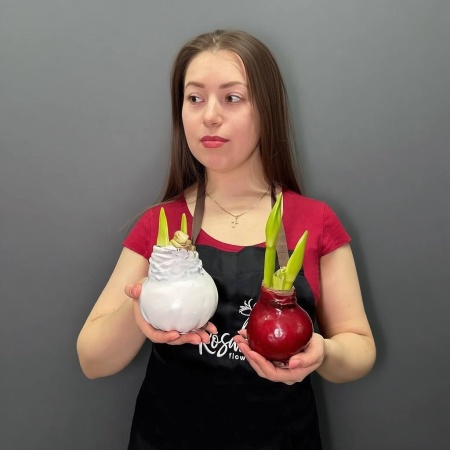 Амариллис в луковице с доставкой в Обнинске и Малоярославце – Rosalia Flowers