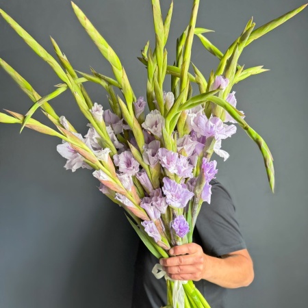 Гладиолус Taro Purple с доставкой в Обнинске и Малоярославце – Rosalia Flowers