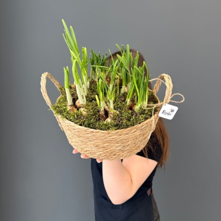 Композиция №195 с доставкой в Обнинске и Малоярославце – Rosalia Flowers