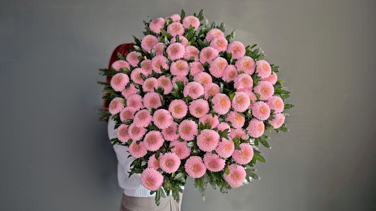 ХРИЗАНТЕМА