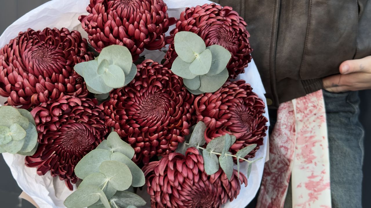 СЕЗОН ХРИЗАНТЕМ