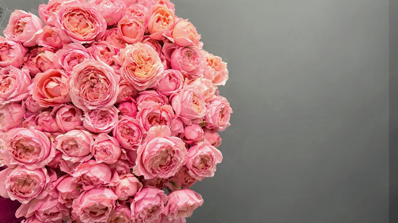 КУСТОВЫЕ РОЗЫ