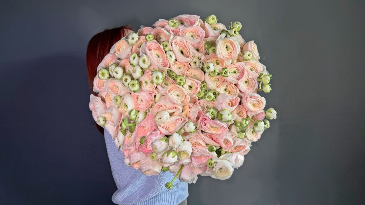 РАНУНКУЛЮС